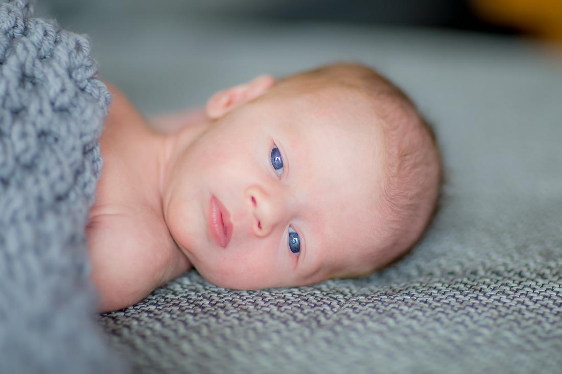 karin-haupt-fotografie-donauwoerth-harburg-neugeborenen-shooting-lia-1