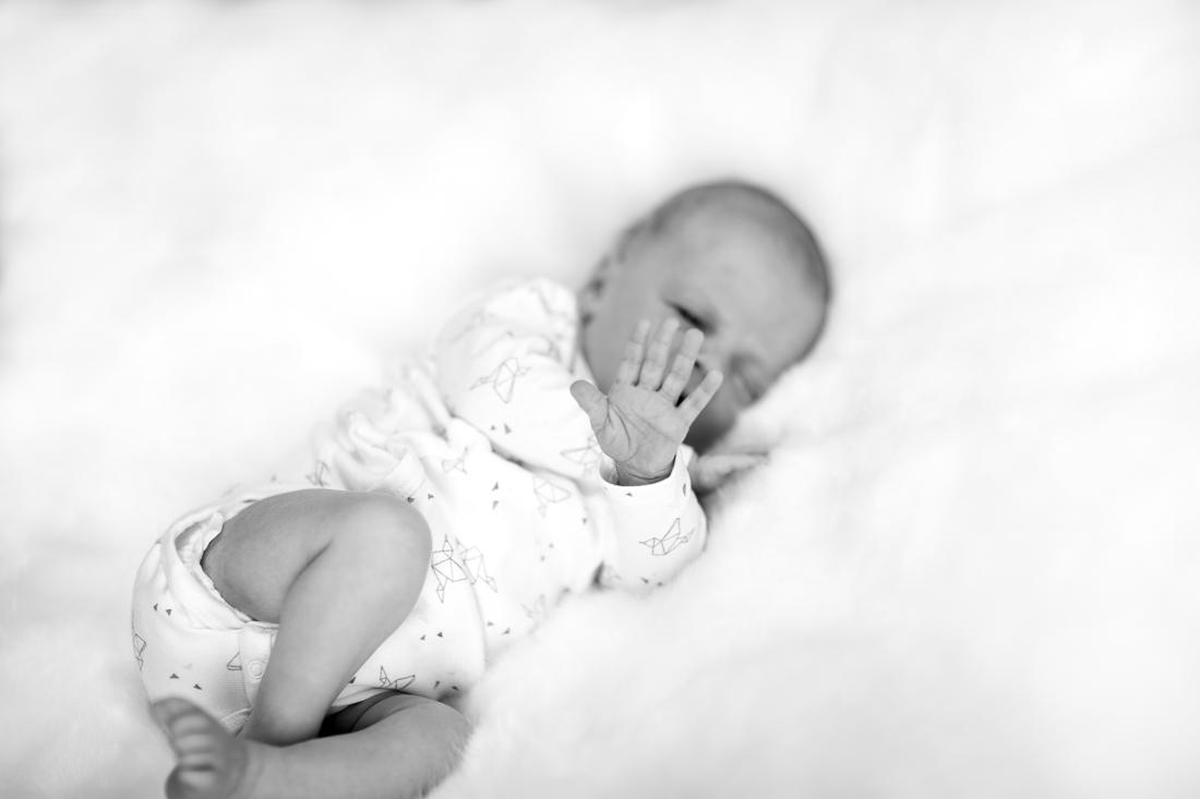 karin-haupt-fotografie-donauwoerth-harburg-neugeborenen-shooting-julia-1