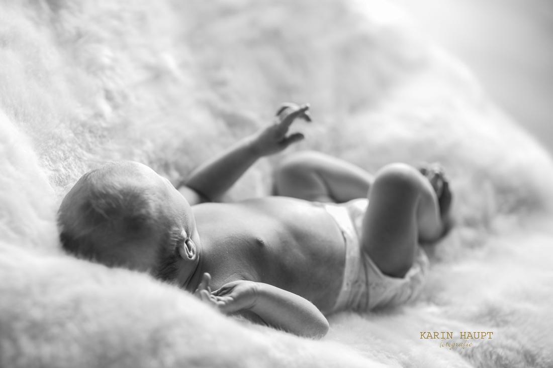 karin-haupt-fotografie-donauwoerth-harburg-neugeborenen-shooting-julia-3
