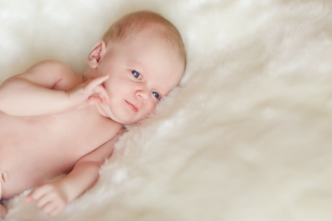 karin-haupt-fotografie-donauwoerth-harburg-neugeborenen-shooting-julia-5