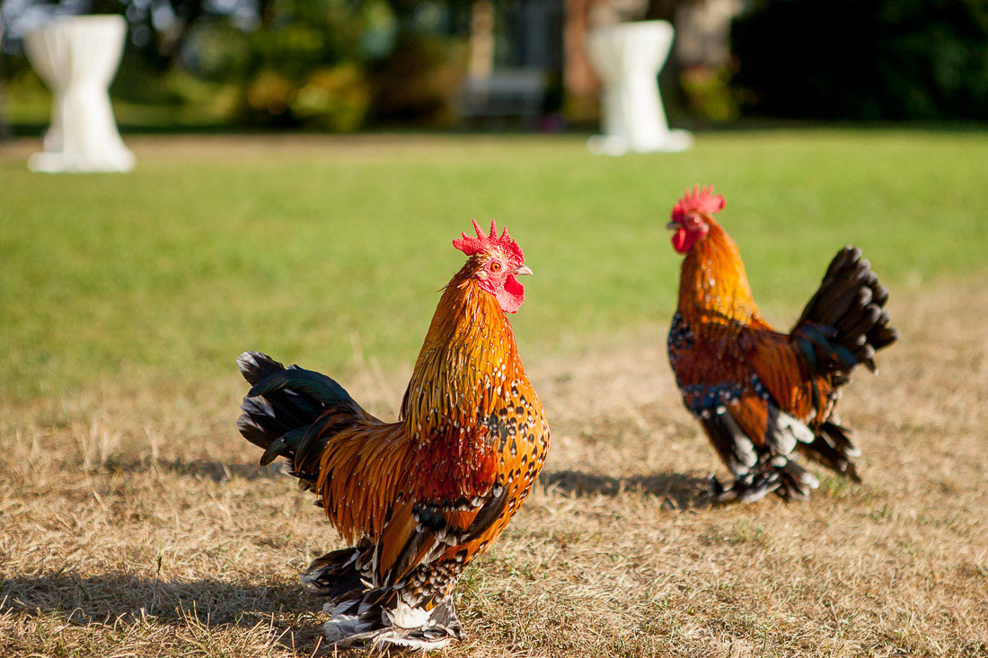 karin-haupt-fotograf-donauwoerth-harburg-hochzeit-sami-markus-28